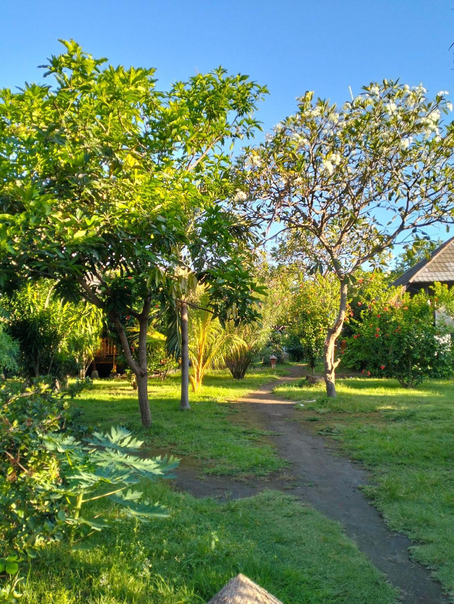Tangga Bungalows Gili Air Ruang foto