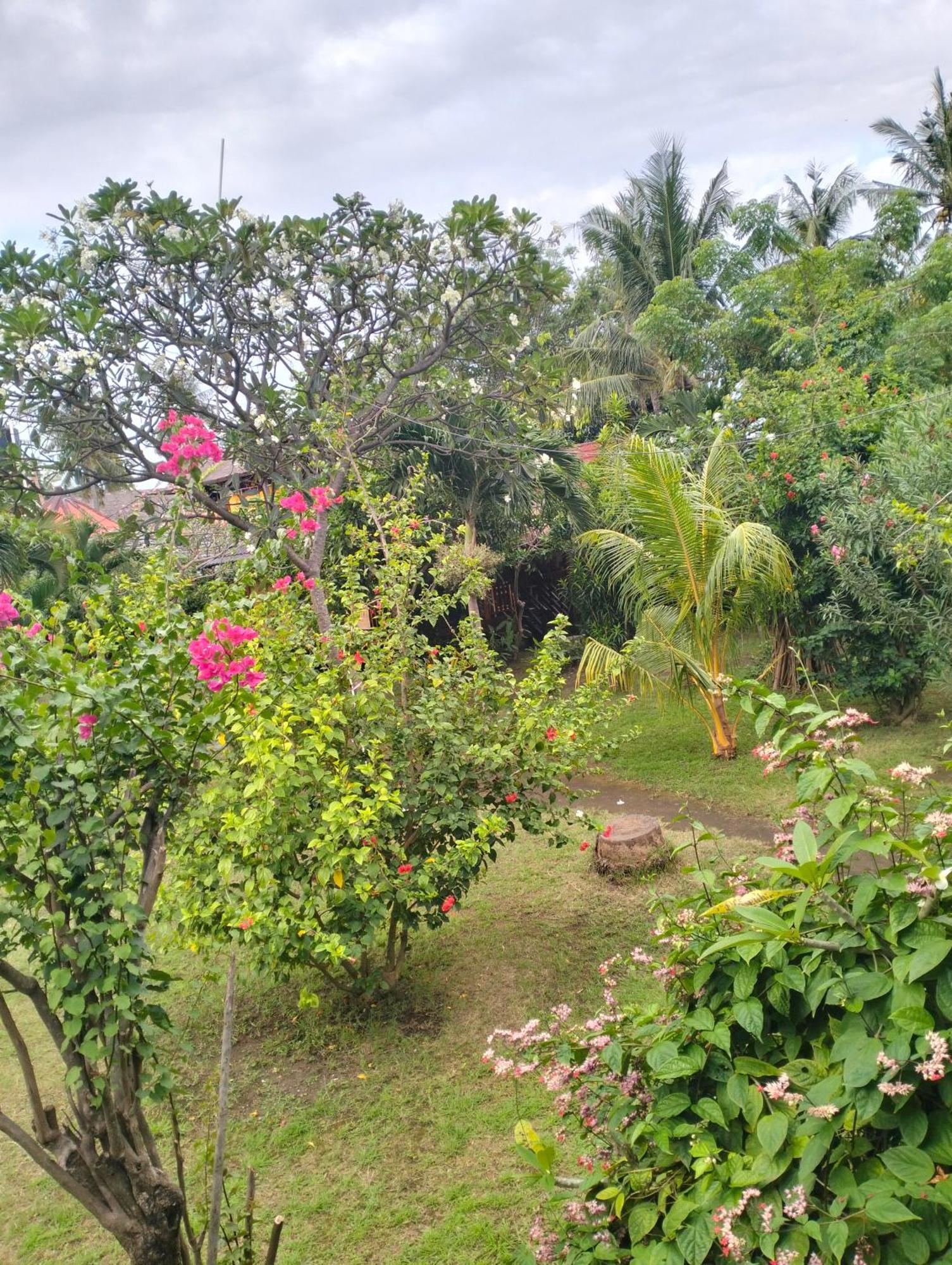 Tangga Bungalows Gili Air Bagian luar foto